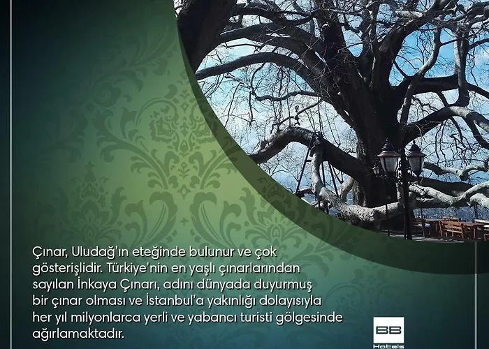 Blue Diamond Ataturk Palace Bursa