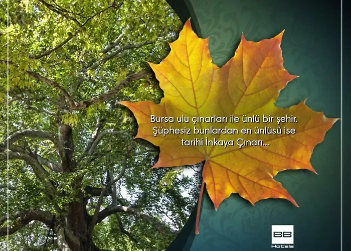 Hotel Blue Diamond Ataturk Palace 5*